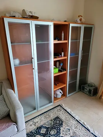 Modern Glass Front Cabinet