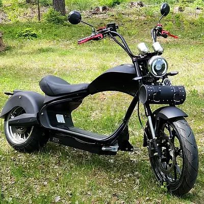 Kugoo Electric Scooter / M1 / 1 Year Warranty