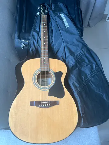Ibanez Guitar