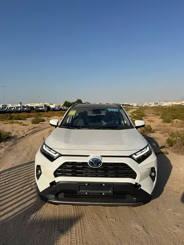 2025 Toyota Rav 4 - Chinese Specs - Brand New