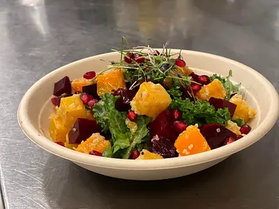 Professional Lady Chef for cooking (for families / full time)