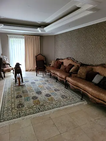 Elegant Sofa Set
