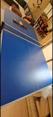 Ping pong table
