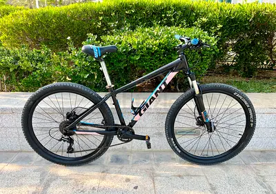 Giant Mountain bike