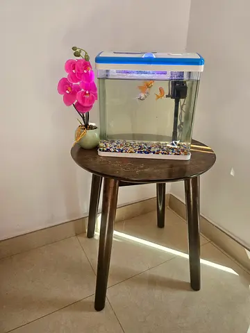 Fish tank