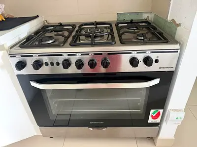 Gas stove