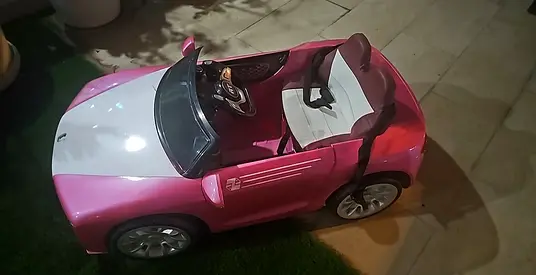 الورقاء١ / المشروم ١