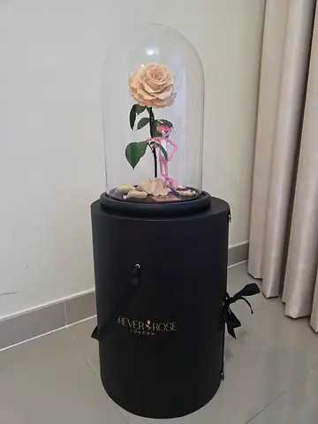 Forever Rose - Pink Panther