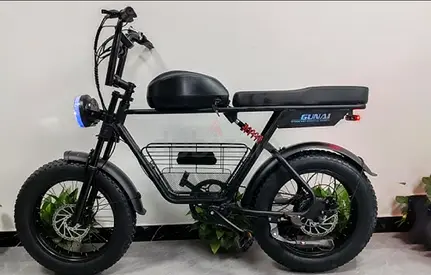 Wind Horse Electric Bike - D5 - 1 Year Warranty