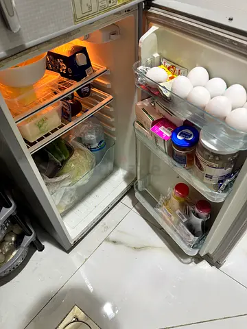 Compact Refrigerator with Vegetable Crisper