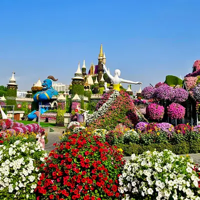 Miracle Garden