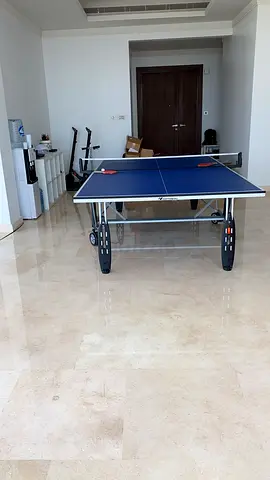 Cornilleau Sport 250 Indoor Table Tennis Table