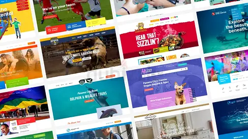 Website Design  Development Services | Modern  Responsive Websites