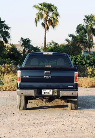 2013 FORD F-150 — миниатюра 11