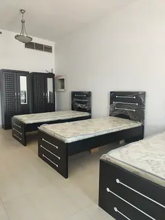 Looking for 2 Female Tenant DIP -1 next to central plaza building. Clean  well maintained apart .