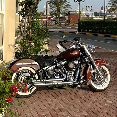 2019 Harley-Davidson Deluxe FLDE | Low KM | Showroom Condition | Upgrades