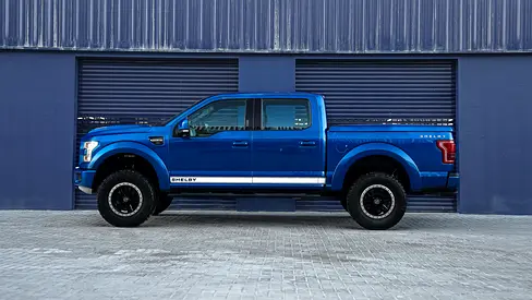 صورة 10 لـ 2016 FORD F-150