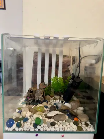 Square aquarium with light