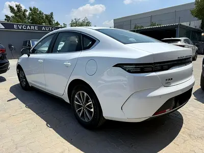 BYD Destroyer 05 55km Luxury Edition - Chinese Specs