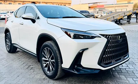 2024 LEXUS NX 250