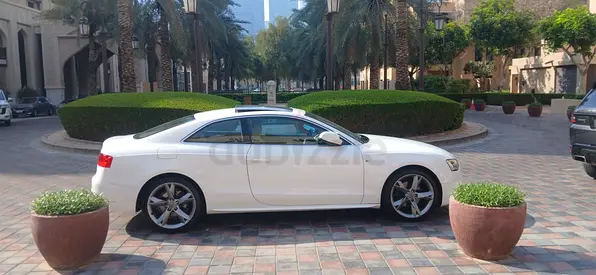 Lady owner GCC A5 S line