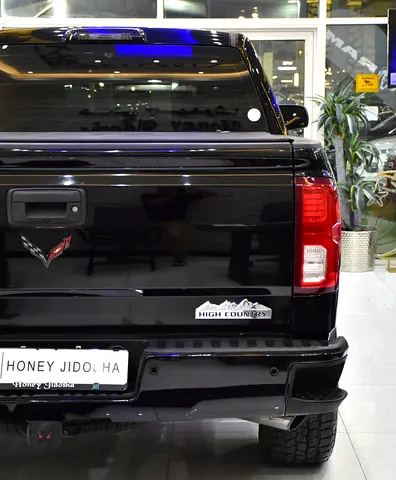 2017 Chevrolet SILVERADO 1500 照片 9