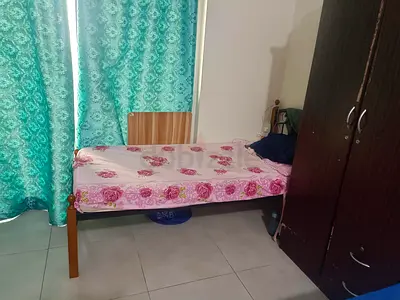 Executive Bachelor - Keralite