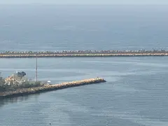 Spacious master 1BHK in Al Majarah, modern tower, balcony, no fees, rent AED 37,000 yearly with easy