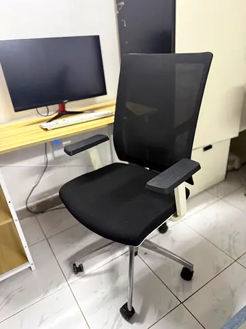 Ergonomic Office Chair
