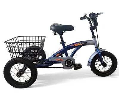 Tricycle 12 - Brand New