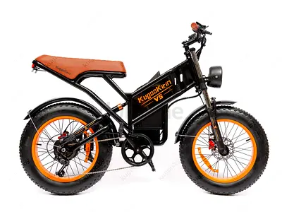 Kugoo V5 Electric Scooter