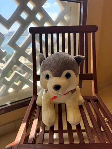 Soft Plush Husky Toy