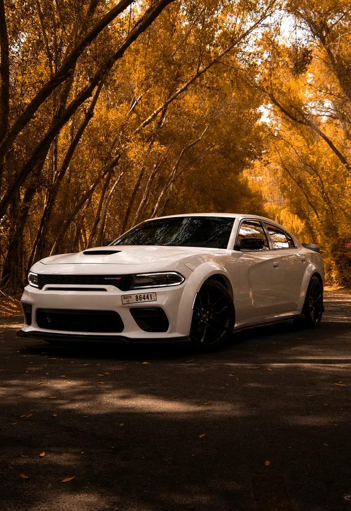 Dodge Charger 2019 — photo 1 of 7