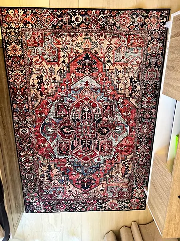 Gently used Persian-style area rug