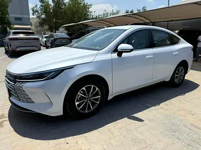 BYD Destroyer 05 55km Luxury Edition - Chinese Specs