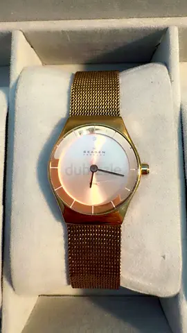Stylish Skagen womens watch