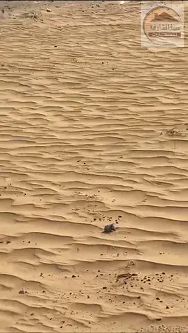 للبيع ارض مميزة في الحوشي