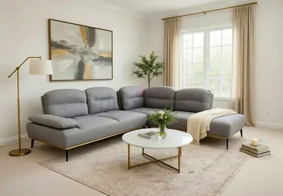 Gray home center Adjustable sofa