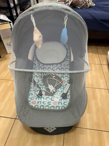 Bassinet and electric rocker