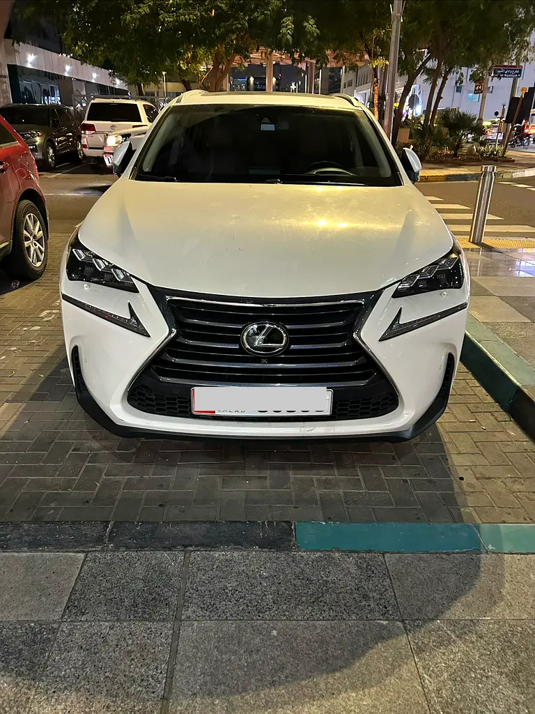 Lexus NX-Series 2016 — photo 1 of 20