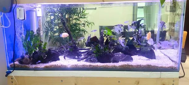 beautiful aquarium set ( running ) for sale