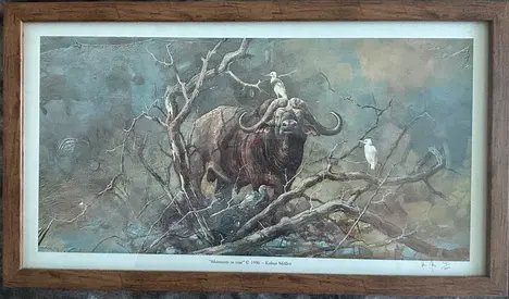 Kobus Moller – Big Five Collection (6 Framed Prints) – Hand Signed  Numbered 98/1000