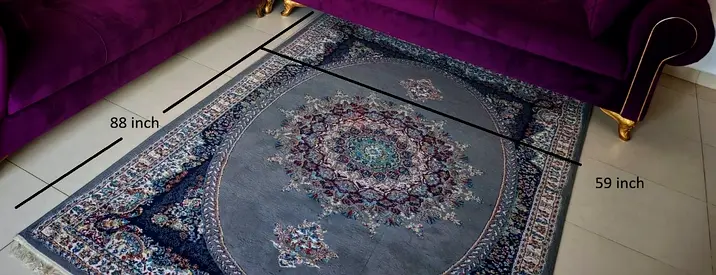 Persian-style area rug 88 x 59 inches - good condition