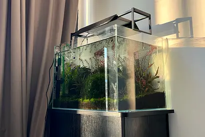 Complete Aquarium Set for Sale