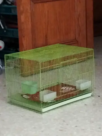 Medium sized Green bird Cage