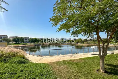 Brand New | Single Row | Lake Backing | 12 Cheques