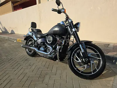 Harley Davidson FLSB
