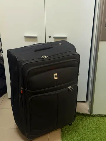 Delsey lightweight baggage black