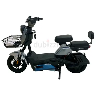 Wind Horse M6 Electric Bike