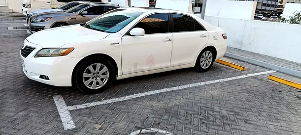 الشارقة المجاز 2